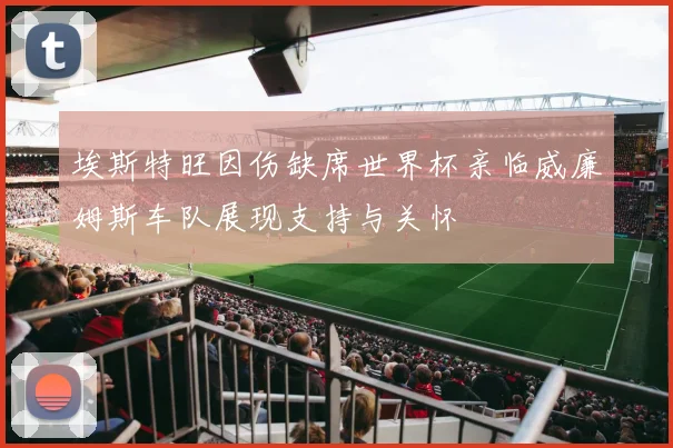 埃斯特旺因伤缺席世界杯亲临威廉姆斯车队展现支持与关怀